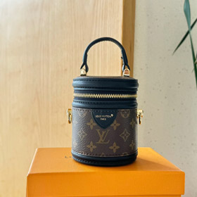Louis Vuitton LV Mini Fortune Bucket Crossbody Bag-4041